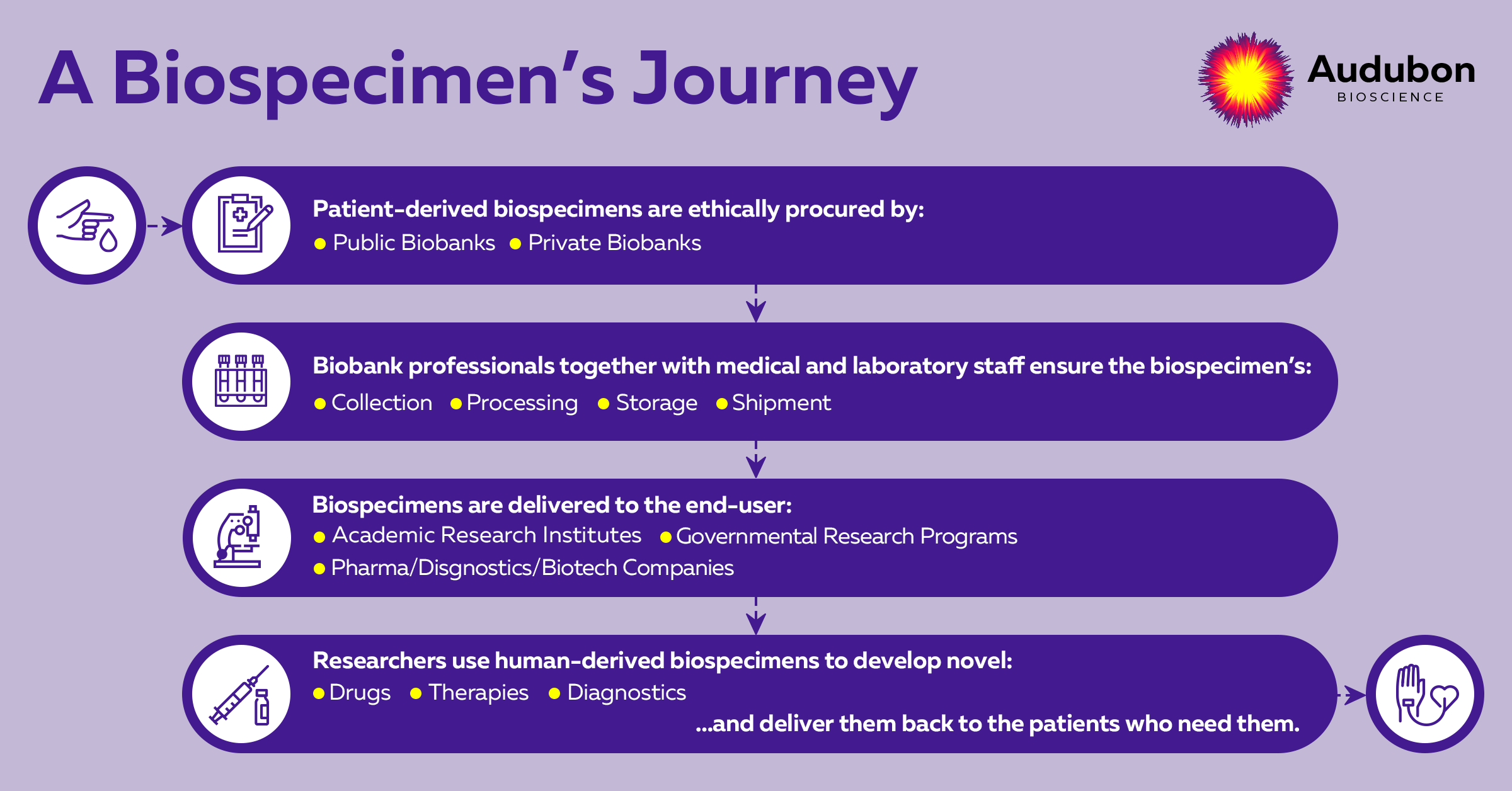 The journey of biospecimens along the drug discovery process.
