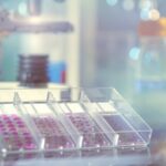 Overcoming Natural and Socio-Economic Challenges in Biobanking