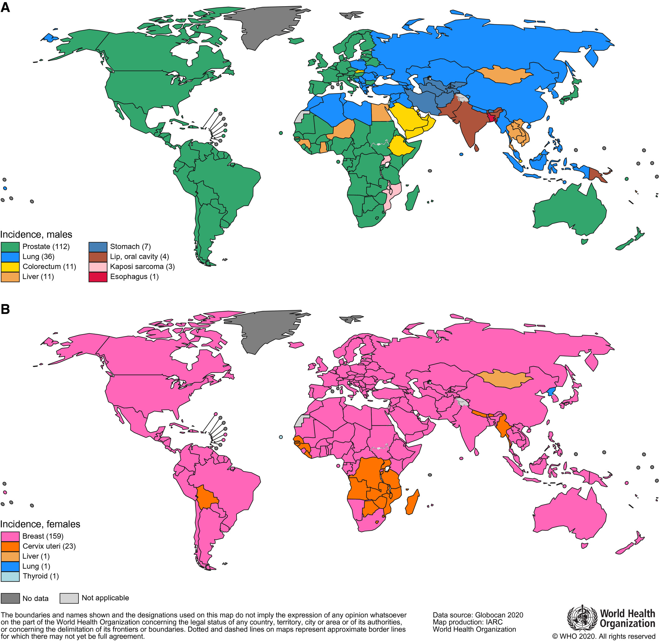Fig 2 - Global cancer incidence report