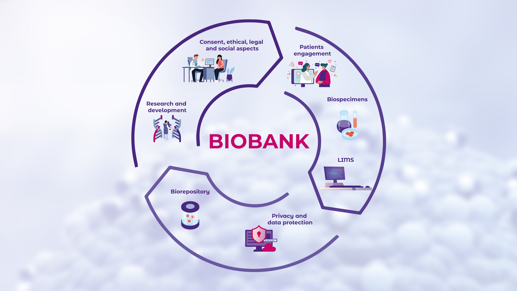 Figure 2. Overview of the biobanking process from consent and biosample collection to secure storage and use in drug development.